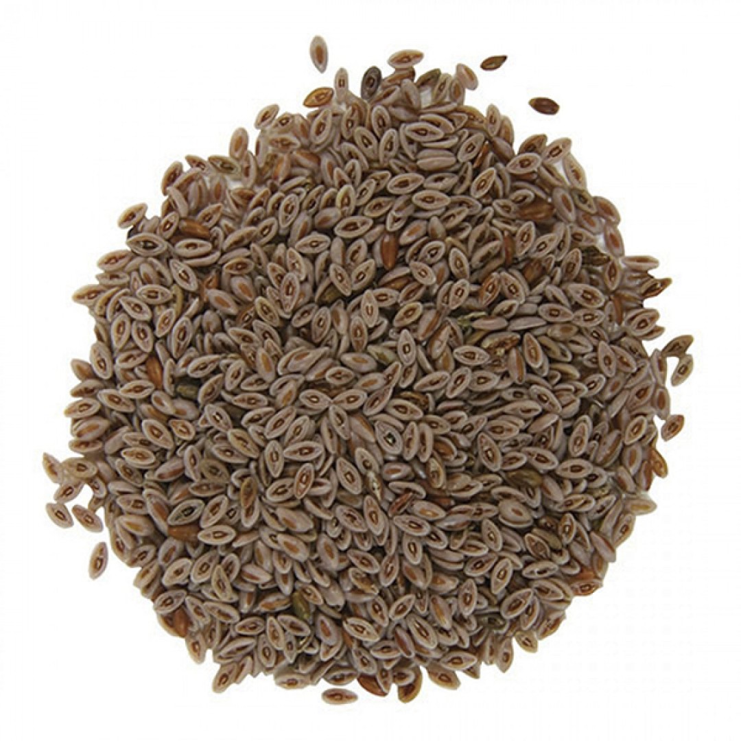 kg-psyllium-husk-semillas-2000001001766