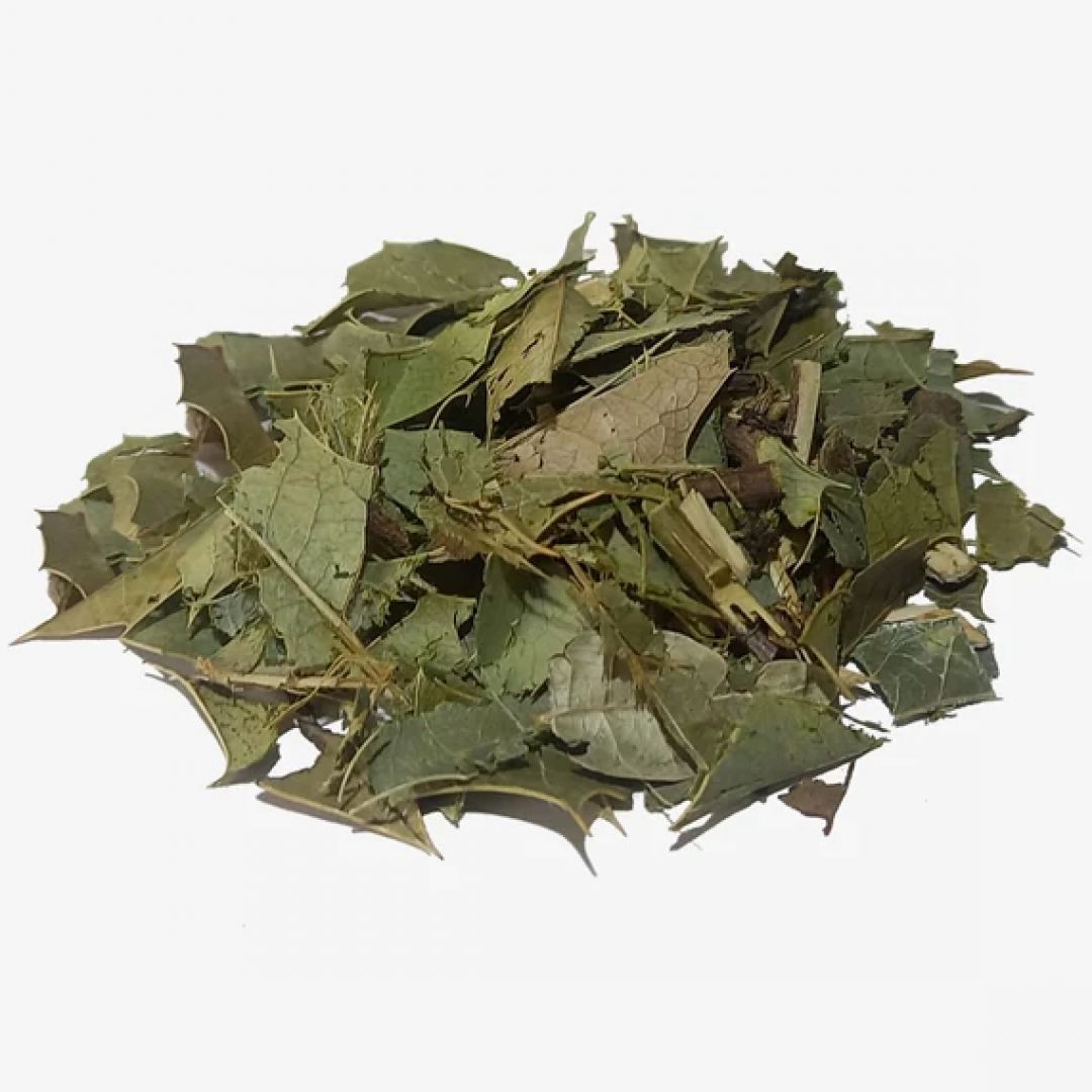 kg-congorosa-14363