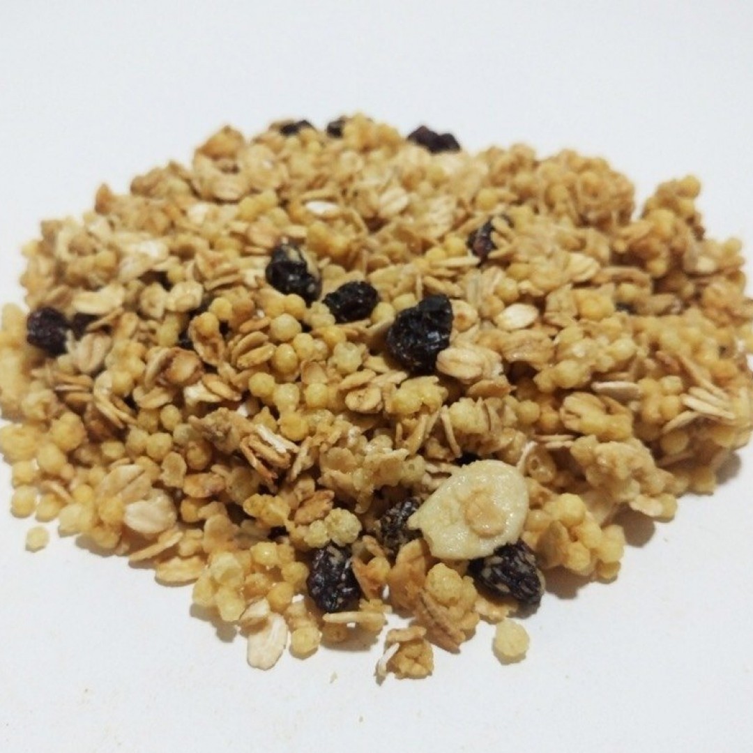 kg-granola-especial-sin-azucar-450